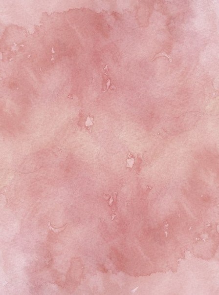 Камелия из бумаги шаблон Камелия из бумаги шаблон