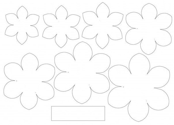 Камелия из бумаги шаблон Камелия из бумаги шаблон