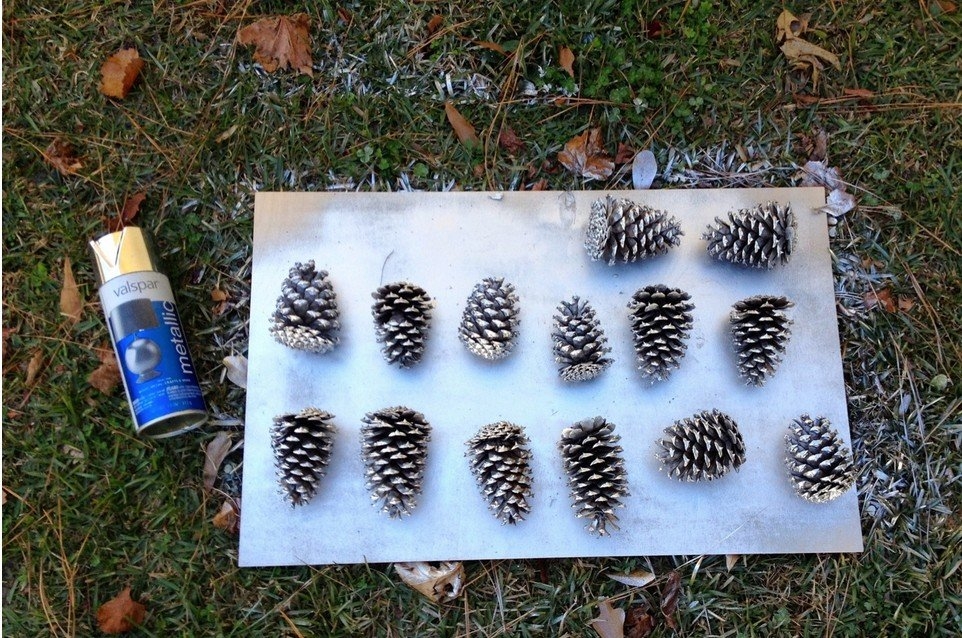 Шишки лесные для декора. Такая простая идея, но такой красивый результат