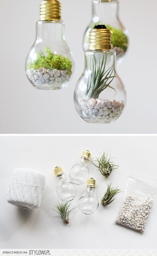 Флорариум своими руками. Идеи. Флорариум своими руками. Идеи.