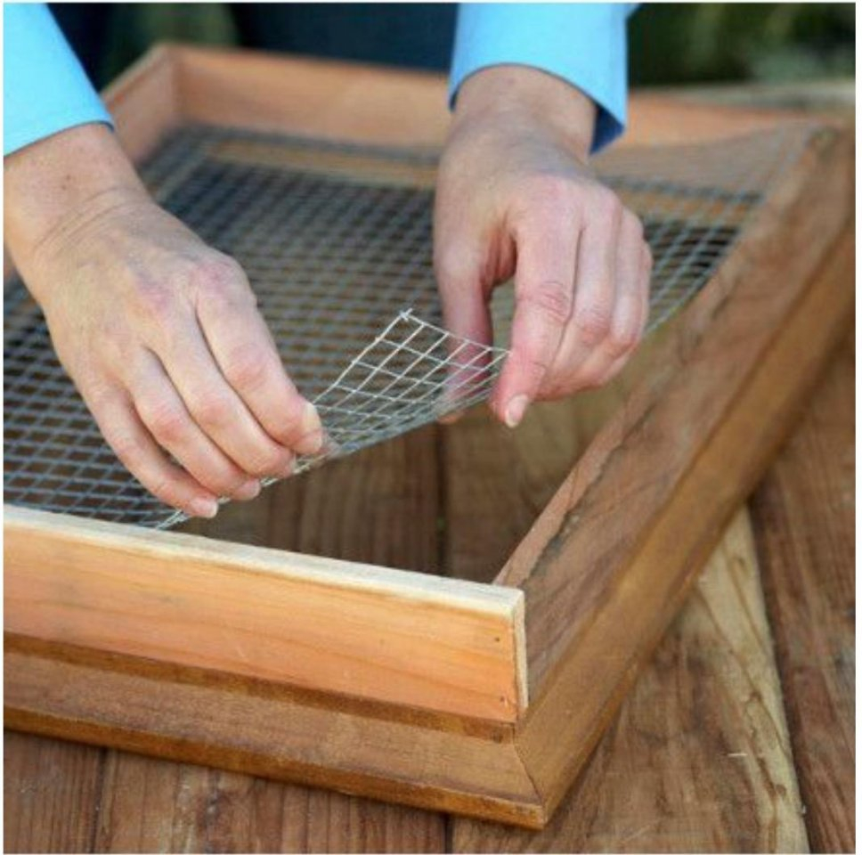 Живая картина