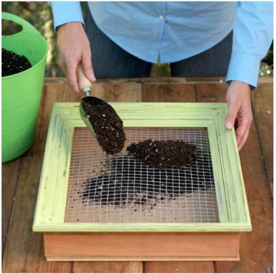 Живая картина