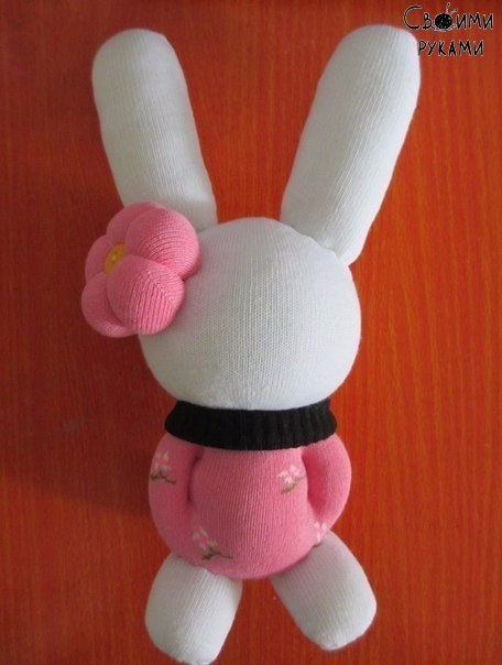 Пучеглазая носко-зайка