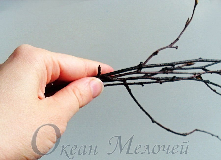 Подставки под яйца своими руками