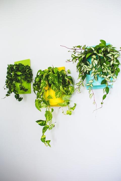 Кашпо для цветов, своими руками.