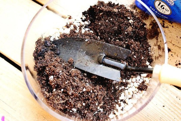 Красивый террариум