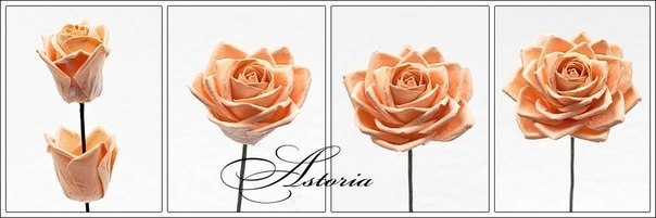 Реалистичные розы из бумаги.