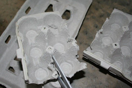 Цветочное панно из яичных лотков и картона