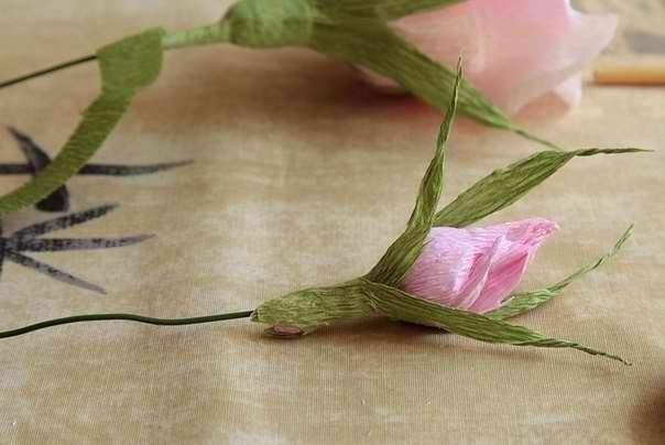 Розочка из гофрированной бумаги - легкий урок.