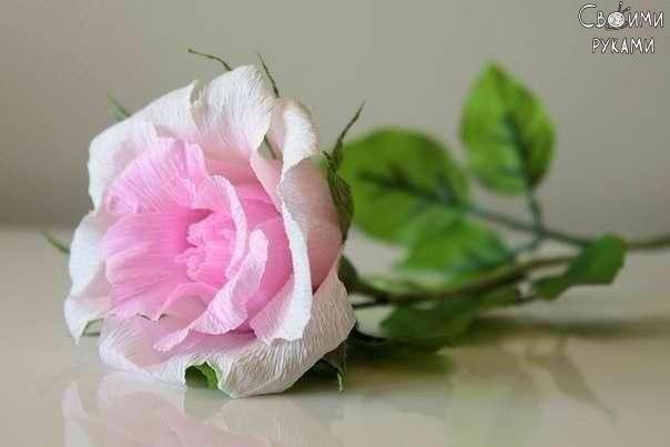 Розочка из гофрированной бумаги - легкий урок.