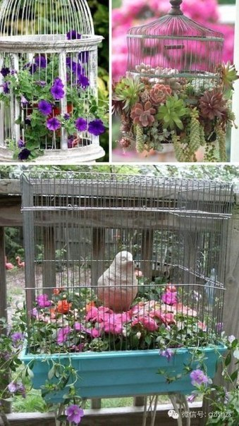 10 замечательных кашпо из старых привычных вещей.