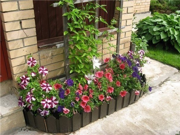 Маленькие клумбы