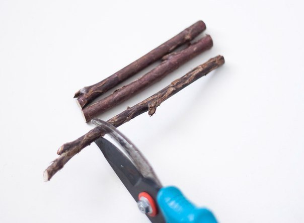 Эко-подставка под горячее из веток