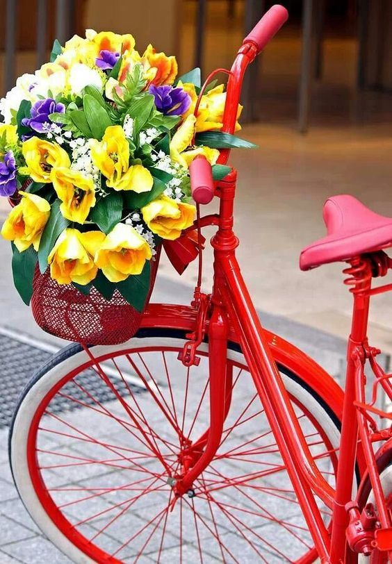 Расцветшие велосипеды