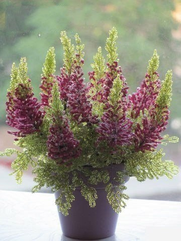 Потрясающая композиция из бисера Вереск