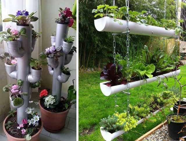 Вертикальное озеленение Вертикальное озеленение