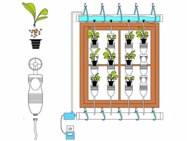 Вертикальное озеленение Вертикальное озеленение