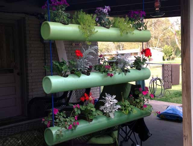 Вертикальное озеленение Вертикальное озеленение