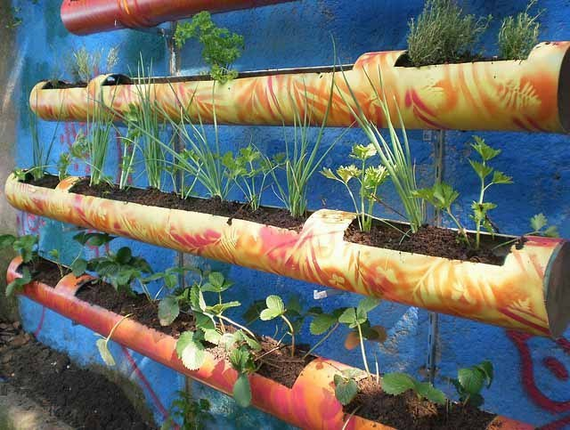 Вертикальное озеленение Вертикальное озеленение