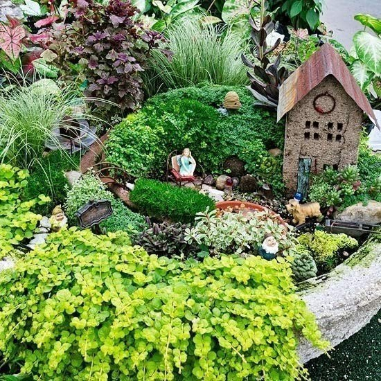 Создаем миниатюрный сад