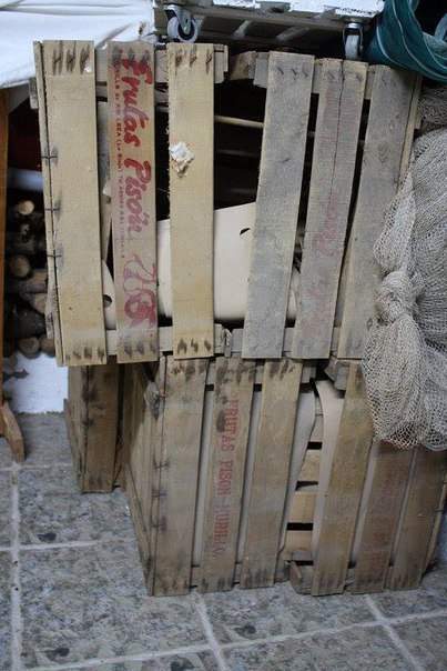 Отличная идея: паровозик для цветов, который украсит ваш загородный участок