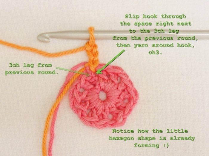 Плед своими руками. Мотив - африканский цветок