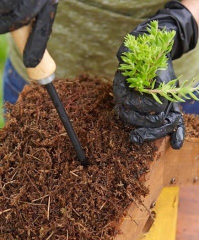 Скворечник своими руками.
