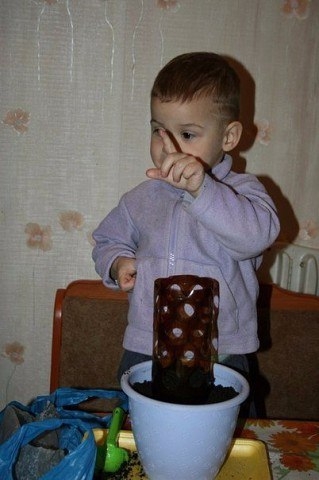 Легкий способ вырастить зеленый лук на подоконнике Легкий способ вырастить зеленый лук на подоконнике