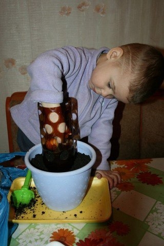 Легкий способ вырастить зеленый лук на подоконнике Легкий способ вырастить зеленый лук на подоконнике