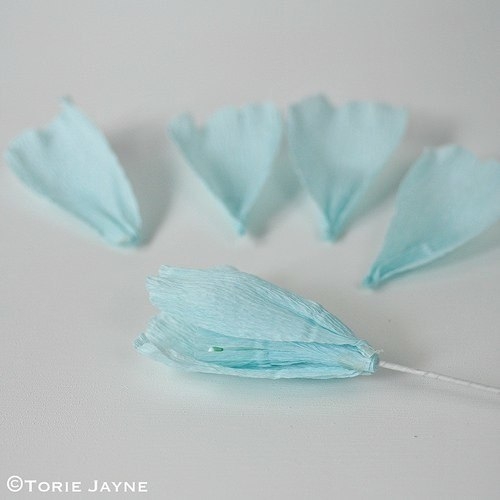 Цветы из гофрированной бумаги Цветы из гофрированной бумаги