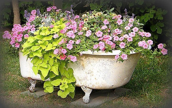 Клумбы. Идеи для дачи и сада.