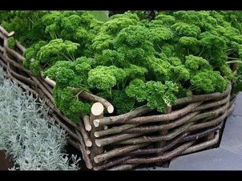 Ограждения для клумб. Идеи.