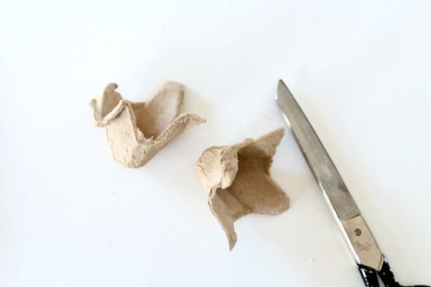 Хлопчатник из яичных лотков.