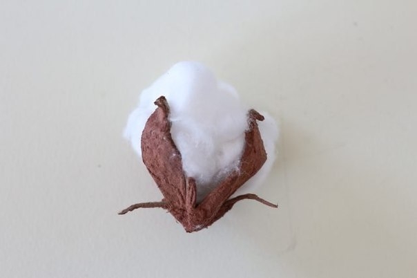 Хлопчатник из яичных лотков.