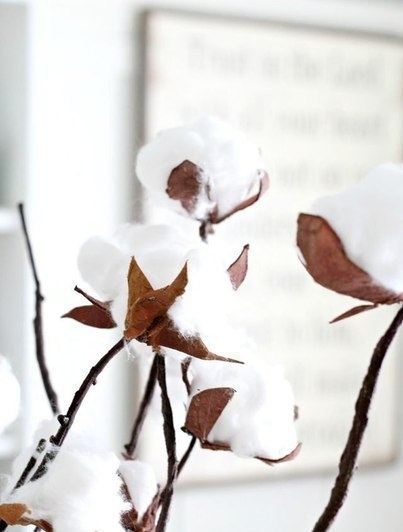 Хлопчатник из яичных лотков.