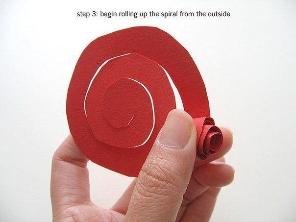 Делаем розочки из бумаги Делаем розочки из бумаги