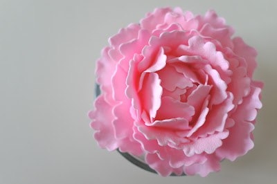 Декорируем торт пионами