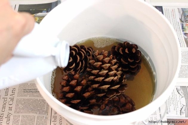 Как отбелить сосновые шишки