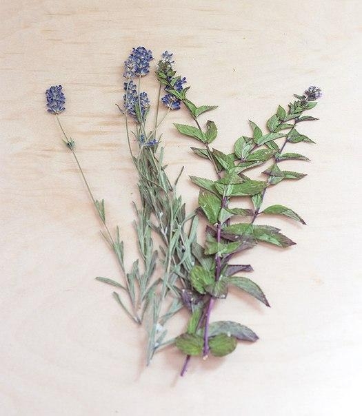 Свечи своими руками