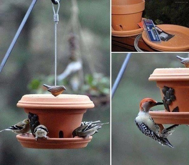 Необычные кормушки Необычные кормушки