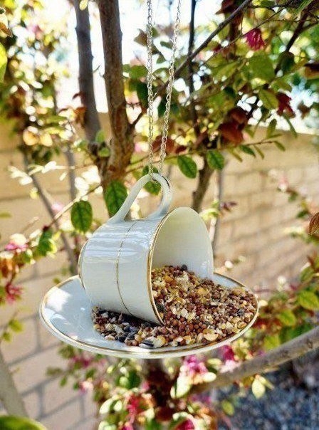 Необычные кормушки Необычные кормушки