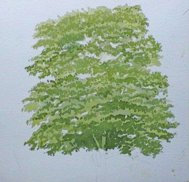 Пишем дерево акварелью