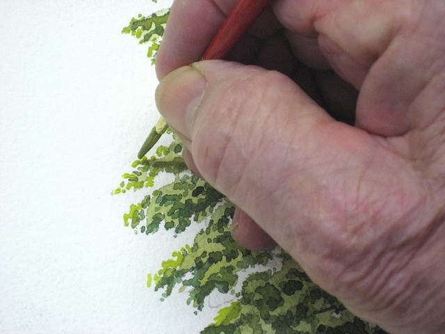 Пишем дерево акварелью