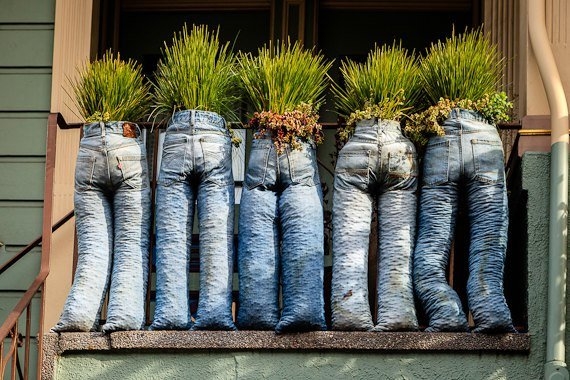 Джинсы во саду ли в огороде