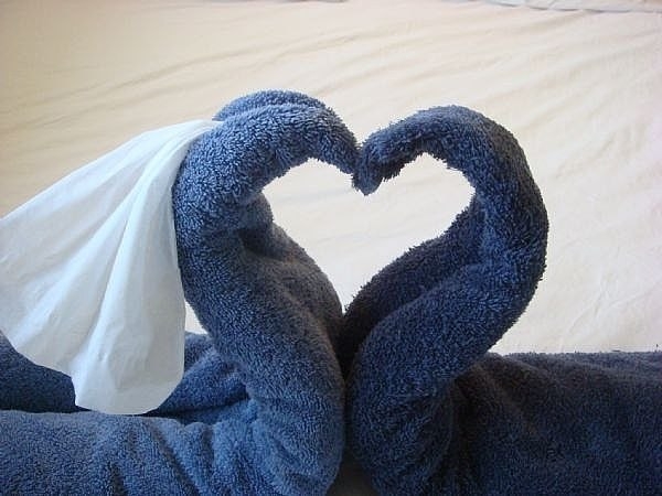 Складываем полотенца в форме лебедя