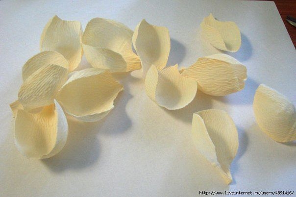 Английская роза из бумаги и конфет