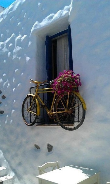 Вторая жизнь велосипеда в саду.