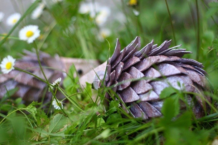 Ёжик из яичных лотков Ёжик из яичных лотков