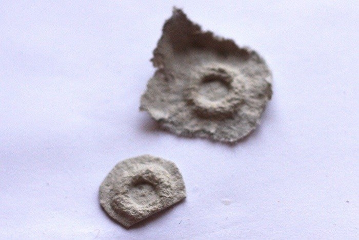 Ёжик из яичных лотков Ёжик из яичных лотков