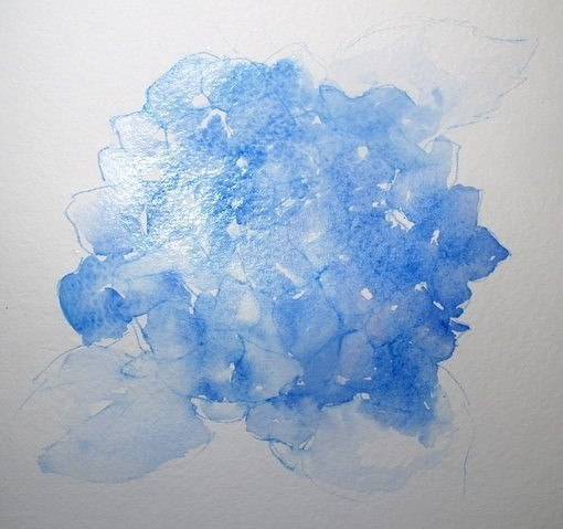 Рисуем гортензию акварелью